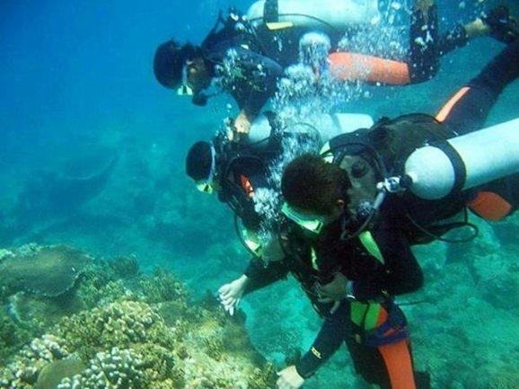 聚餐时领导付款后要求大家AA让下属通知其他人给她钱游戏画面
